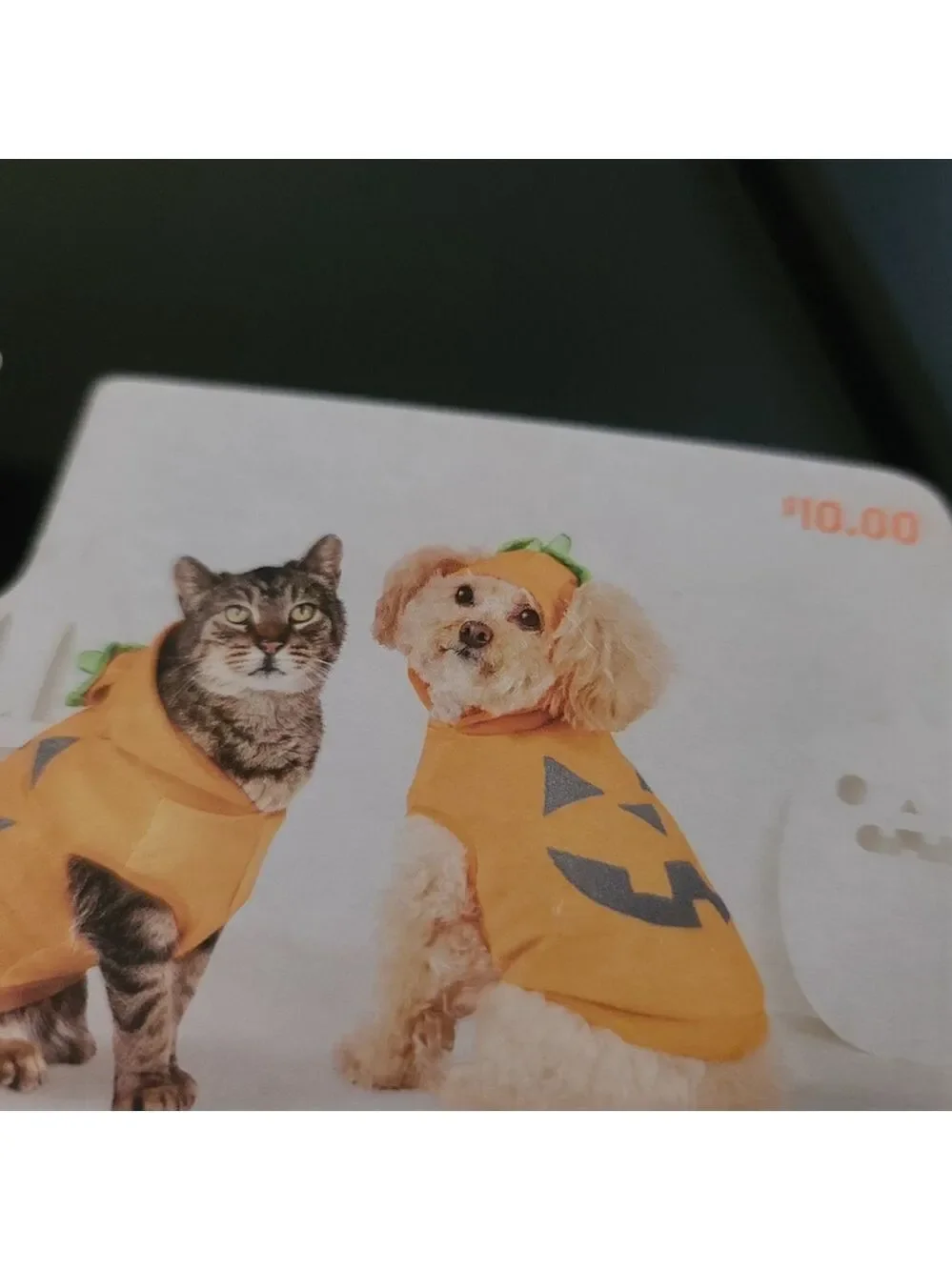 Reflective Pet Jack-o'-Lantern Costume XS